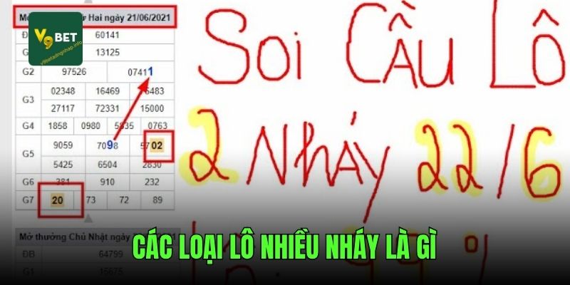 Các loại lô nhiều nháy là gì