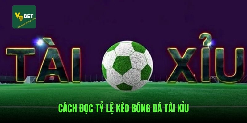 Cách đọc tỷ lệ kèo bóng đá tài xỉu