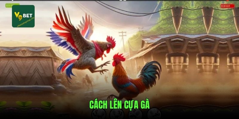 cach-len-cua-ga