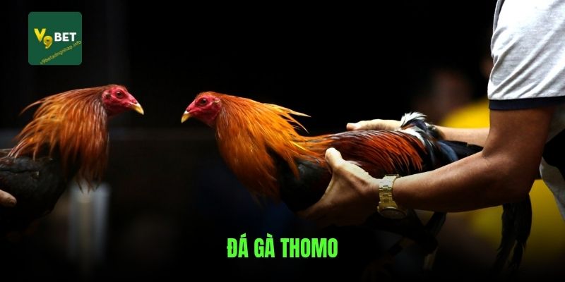 da-ga-thomo