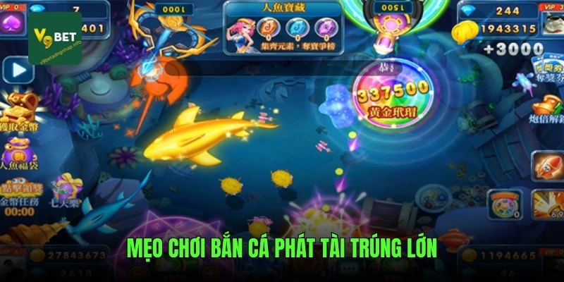 Mẹo chơi bắn cá phát tài trúng lớn