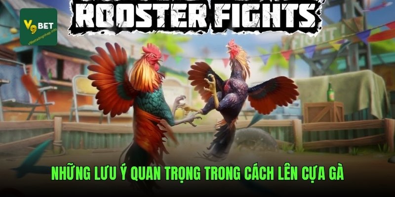 Những lưu ý quan trọng trong cách lên cựa gà
