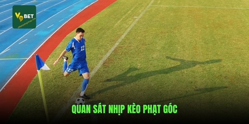 Quan sát nhịp kèo phạt góc