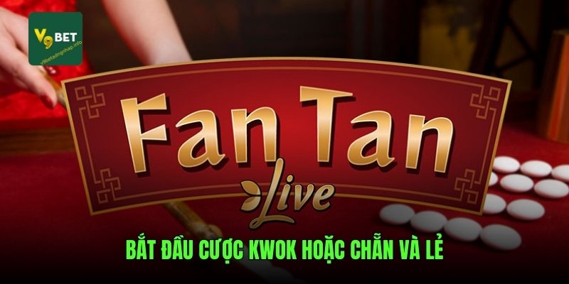 Bắt đầu cược Kwok hoặc Chẵn và Lẻ