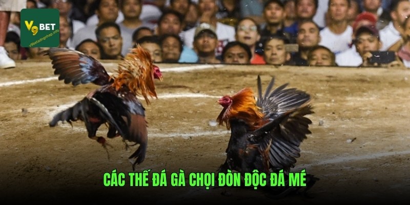 Các thế đá gà chọi đòn độc Đá Mé
