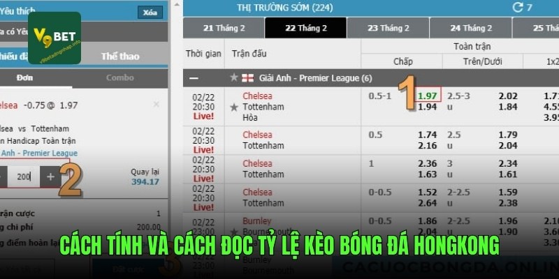 Cách tính và cách đọc tỷ lệ kèo bóng đá HongKong