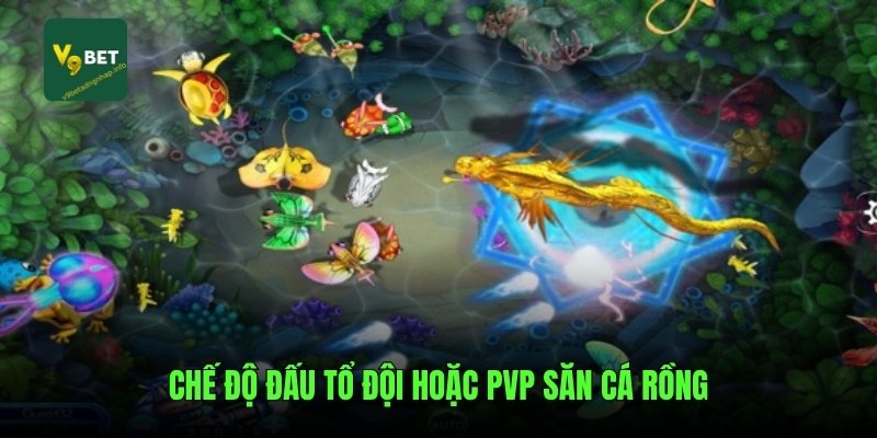 Chế độ đấu tổ đội hoặc PVP săn cá rồng