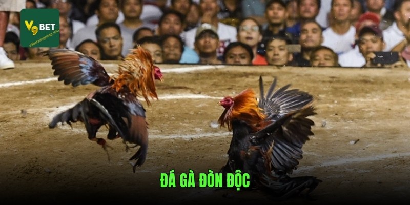 da-ga-don-doc