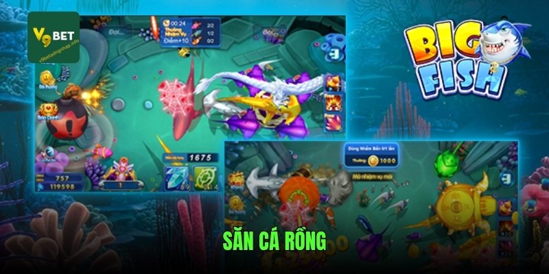 san-ca-rong