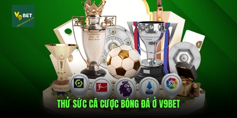 Thử sức cá cược bóng đá ở V9bet