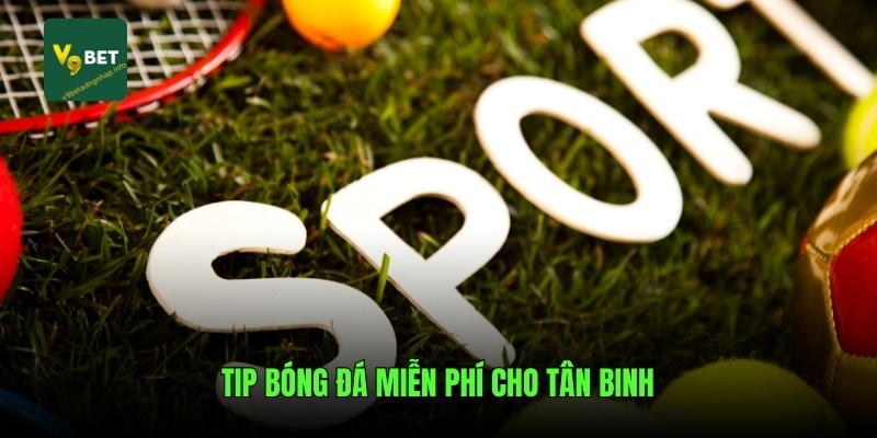Tip bóng đá miễn phí cho tân binh