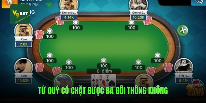 tu-quy-co-chat-duoc-ba-doi-thong-khong